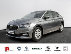 Grau Gebraucht 2024 Skoda Fabia Selection Kleinwagen | 16.790 € (Fairer Preis)
