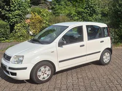 Weiß Gebraucht 2009 Fiat Panda Kleinwagen | 1.500 € (Guter Preis)