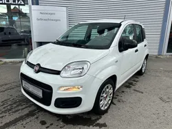 Weiß Gebraucht 2021 Fiat Panda Kleinwagen | 8.990 € (Guter Preis)