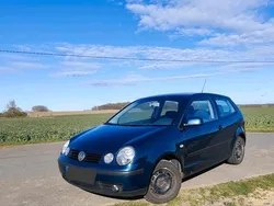 Grün Gebraucht 2003 VW Polo Kleinwagen | 400 € (Guter Preis)