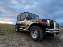 Schwarz Gebraucht 1992 Jeep Wrangler SUV | 15.200 €