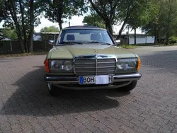 Grün Gebraucht 1982 Mercedes 240 Limousine | 10.500 €