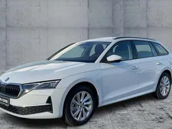 Weiß Gebraucht 2025 Skoda Octavia Selection Kombi | 37.570 € (Fairer Preis)