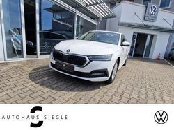Candyweiss Gebraucht 2020 Skoda Octavia Ambition Kombi | 19.440 € (Fairer Preis)