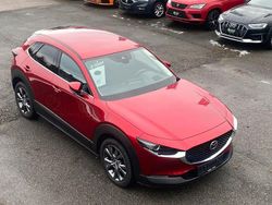 Rot Gebraucht 2023 Mazda CX-30 Selection SUV | 22.900 € (Fairer Preis)
