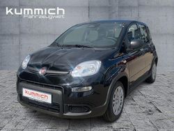 Schwarz Gebraucht 2024 Fiat Panda Kleinwagen | 16.490 € (Teuer)