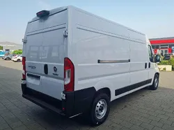 Weiss Neu 2024 Fiat Ducato Van | 36.349 € (Etwas zu teuer)