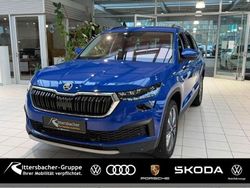 Blau Gebraucht 2022 Skoda Kodiaq Tour SUV | 32.990 € (Guter Preis)