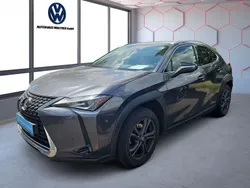 Grau Gebraucht 2022 Lexus UX 250h SUV | 27.850 € (Fairer Preis)