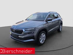 Grau Gebraucht 2024 Skoda Karoq Selection SUV | 30.390 € (Guter Preis)