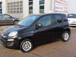 Schwarz Gebraucht 2018 Fiat Panda Easy Kleinwagen | 10.950 € (Etwas zu teuer)