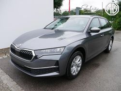 Neu 2025 Skoda Octavia Selection Kombi | 32.671 € (Guter Preis)