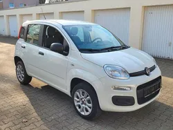 Weiß Gebraucht 2020 Fiat Panda Easy Kleinwagen | 8.990 € (Guter Preis)