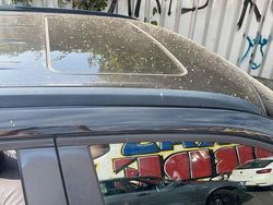 Schwarz Gebraucht 2013 Chevrolet Orlando LT Van / Kleinbus | 1.750 €