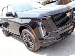 Schwarz Neu 2024 Cadillac Escalade SUV | 115.000 €