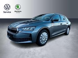 Grau Gebraucht 2025 Skoda Octavia Essence Kombi | 24.970 € (Guter Preis)