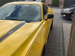 Gelb Gebraucht 2016 Ford Mustang Performance Edition Coupé | 17.900 € (Fairer Preis)