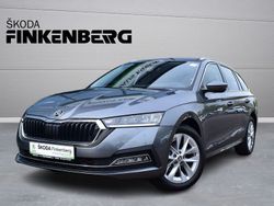 Othercolor Gebraucht 2024 Skoda Octavia Style Kombi | 34.980 € (Etwas zu teuer)