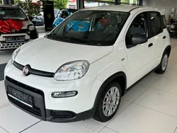 Weiß Neu 2025 Fiat Panda Kleinwagen | 15.990 €
