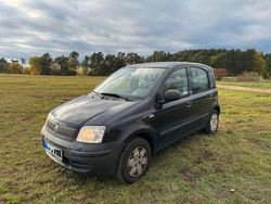 Blau Gebraucht 2010 Fiat Panda Kleinwagen | 1.148 € (Guter Preis)