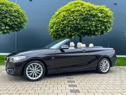 Braun Gebraucht 2016 BMW 220 Sport Line Cabrio | 15.850 € (Guter Preis)