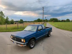 Blau Gebraucht 1992 Chevrolet S10 Abholung | 7.600 €