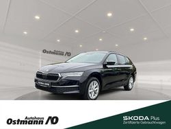 Blackmagicperleffekt Gebraucht 2024 Skoda Octavia Selection Kombi | 43.490 €