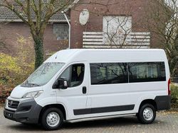 Weiß Gebraucht 2017 Fiat Ducato Van | 8.806 € (Fairer Preis)