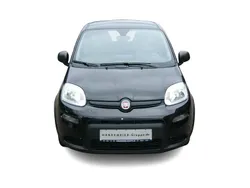 Schwarz Gebraucht 2024 Fiat Panda Tech Kleinwagen | 13.750 € (Etwas zu teuer)