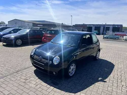 Other Gebraucht 1999 VW Lupo Basis Kleinwagen | 1.999 € (Teuer)