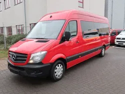Hibiskusrot Gebraucht 2014 Mercedes Sprinter Van | 17.900 € (Teuer)