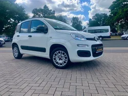 Weiß Gebraucht 2019 Fiat Panda Easy Kleinwagen | 7.999 € (Guter Preis)