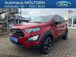 Fantastic red tc (rot) Gebraucht 2021 Ford Ecosport Active SUV | 16.990 € (Fairer Preis)