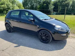 Schwarz Gebraucht 2012 Fiat Punto Easy Kleinwagen | 3.690 € (Fairer Preis)