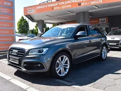 Grau Gebraucht 2015 Audi SQ5 Competition SUV | 19.899 € (Superpreis)