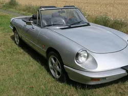 Silber Gebraucht 1985 Alfa Romeo Spider Cabrio | 19.990 €