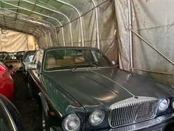 Gebraucht 1982 Jaguar XJ6 Sovereign Limousine | 3.599 €