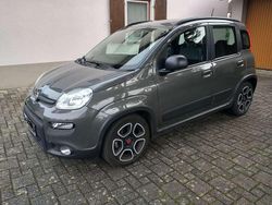 Grau Gebraucht 2022 Fiat Panda City Life Kleinwagen | 9.990 € (Fairer Preis)