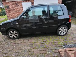 Schwarz Gebraucht 2002 VW Lupo Kleinwagen | 500 € (Guter Preis)