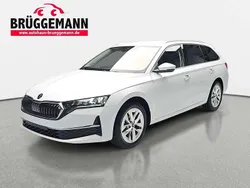 Weiß Neu 2025 Skoda Octavia Selection Kombi | 35.890 € (Fairer Preis)