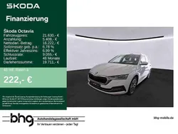 Weiß Gebraucht 2021 Skoda Octavia First Edition Kombi | 21.630 € (Fairer Preis)