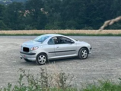 Silber Gebraucht 2002 Peugeot 206 CC Platinum Cabrio | 1.600 € (Fairer Preis)