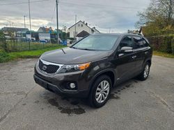 Braun Gebraucht 2012 Kia Sorento Spirit SUV | 9.999 € (Fairer Preis)