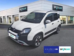 Weiß Gebraucht 2024 Fiat Panda Cross Cross Kleinwagen | 13.690 € (Fairer Preis)