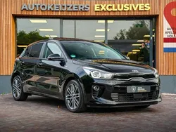 Schwarz Gebraucht 2018 Kia Rio Platinum Edition Kleinwagen | 14.746 € (Teuer)