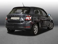 Grau Gebraucht 2021 Skoda Fabia Cool Plus Kleinwagen | 14.048 € (Guter Preis)