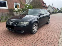 Schwarz Gebraucht 2004 Audi A3 Kleinwagen | 900 € (Guter Preis)