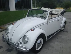Weiß Gebraucht 1965 VW Käfer Cabrio | 34.000 €