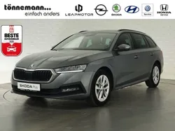 Grau Gebraucht 2023 Skoda Octavia Ambition Kombi | 27.724 € (Fairer Preis)
