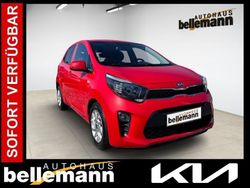 Rot Gebraucht 2017 Kia Picanto DREAM-TEAM Edition Kleinwagen | 7.980 € (Fairer Preis)
